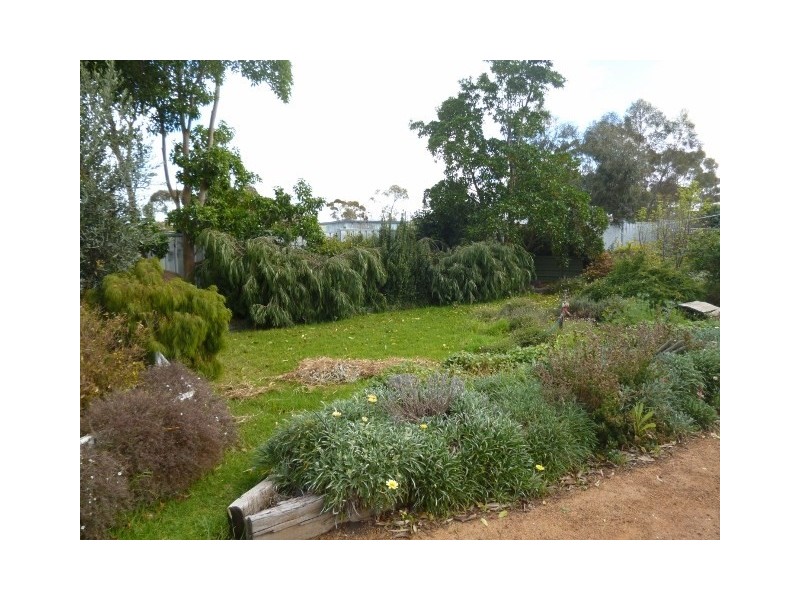 49 Harvey Street, Dumbleyung WA 6350