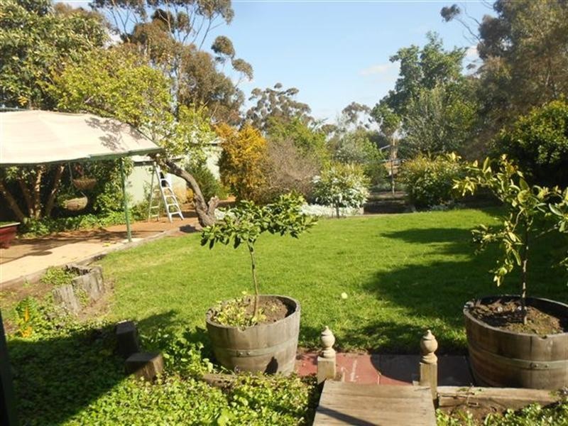 49 Harvey Street, Dumbleyung WA 6350