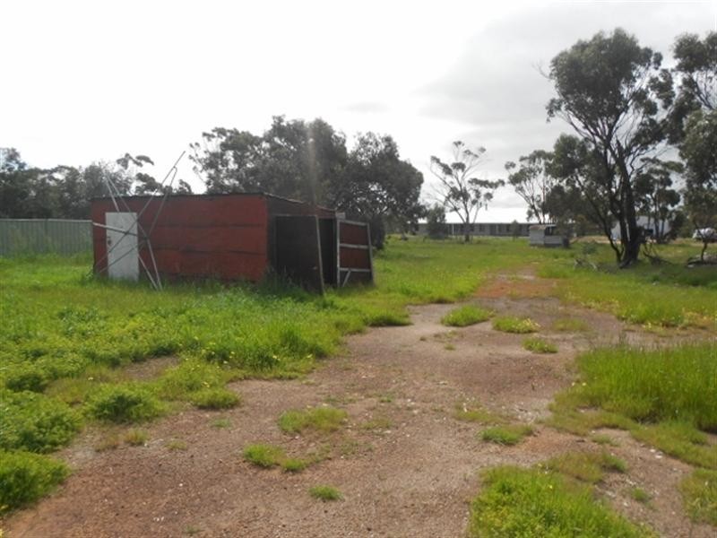 25 Clarence Street, Katanning WA 6317