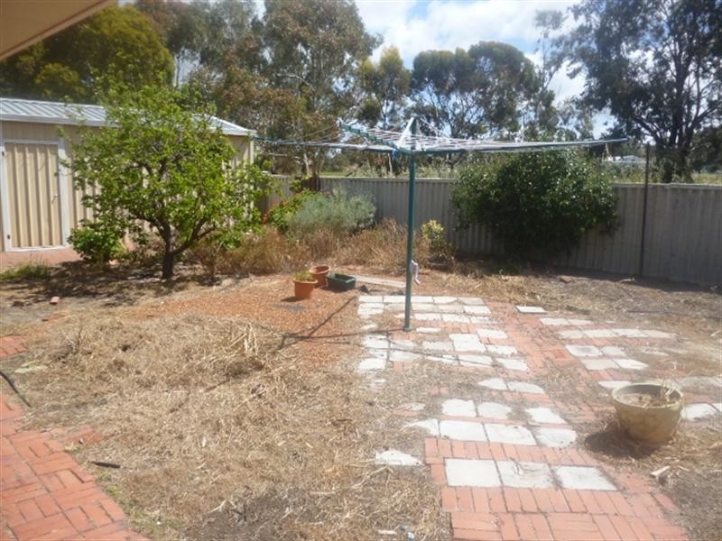 16 Hakea Place, Katanning WA 6317