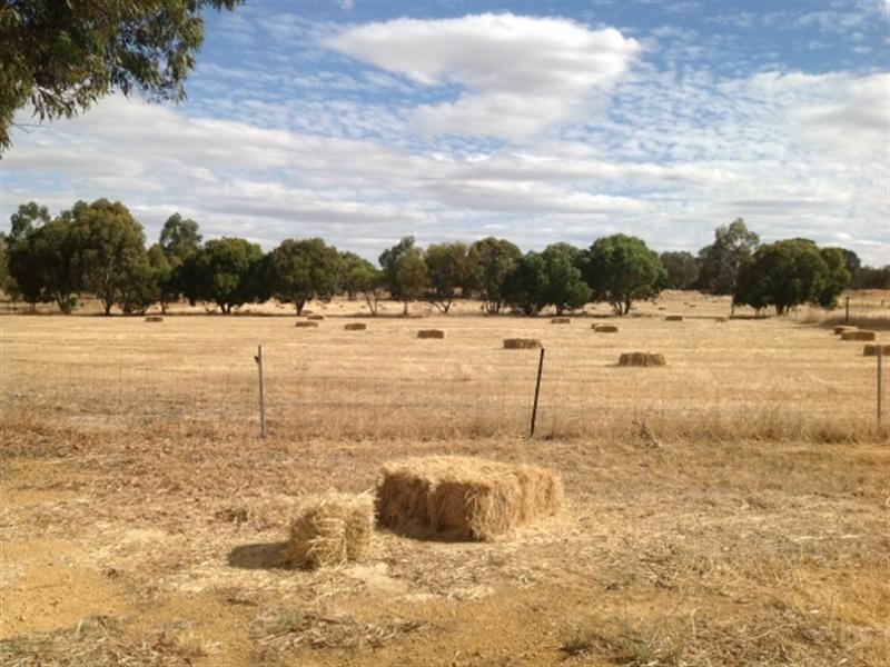 18 Shirley Street, Katanning WA 6317