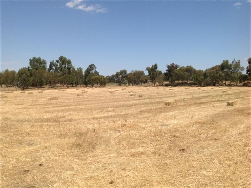 18 Shirley Street, Katanning WA 6317