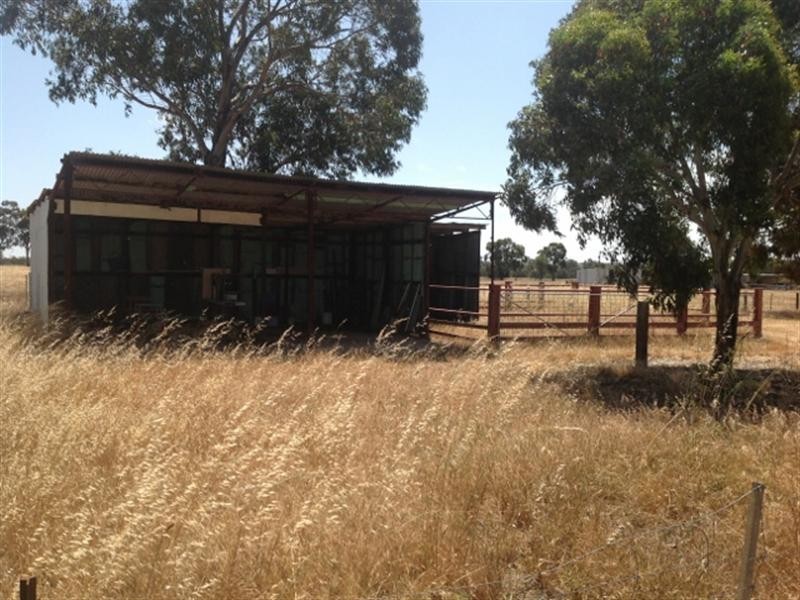 18 Shirley Street, Katanning WA 6317