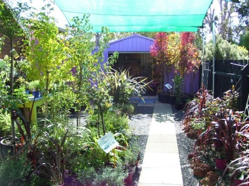 28 Absolon Street, Dumbleyung WA 6350