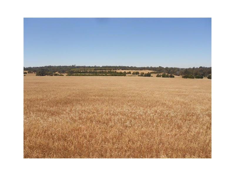 L2585 South Glencoe, Katanning WA 6317