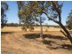 L2585 South Glencoe, Katanning WA 6317