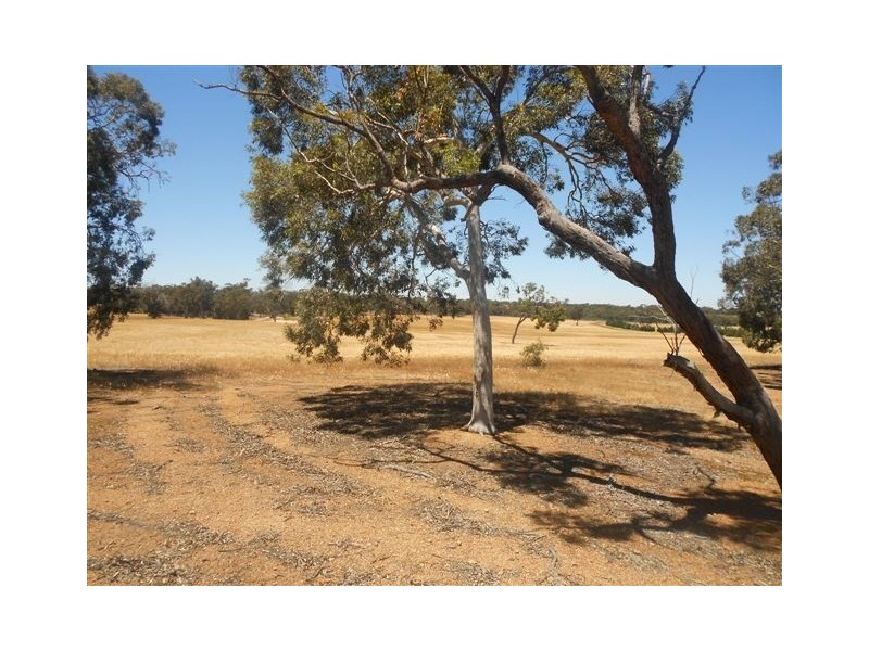 L2585 South Glencoe, Katanning WA 6317