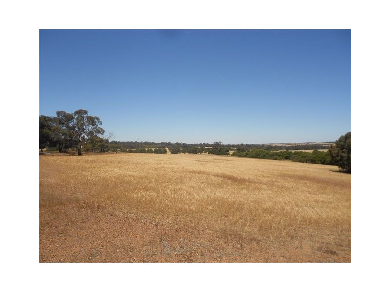 L2585 South Glencoe, Katanning WA 6317