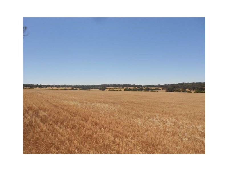 L2585 South Glencoe, Katanning WA 6317