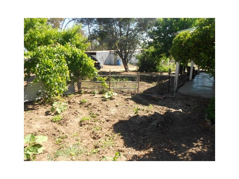 350 Station Street, Muradup WA 6394