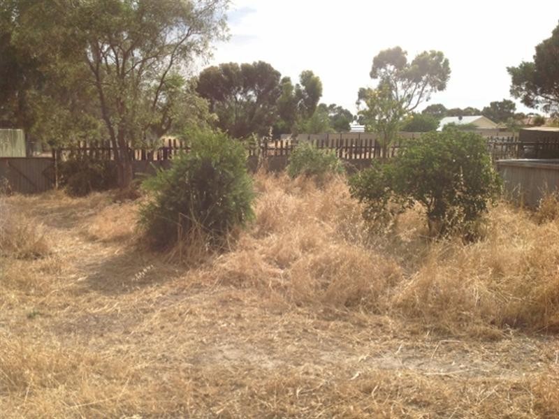 49 Pemble Street, Katanning WA 6317