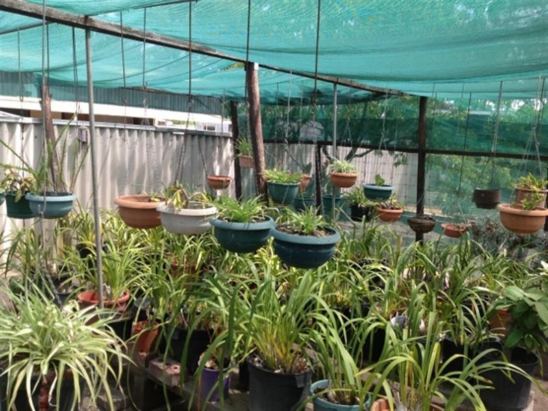 102 Adam Street, Katanning WA 6317