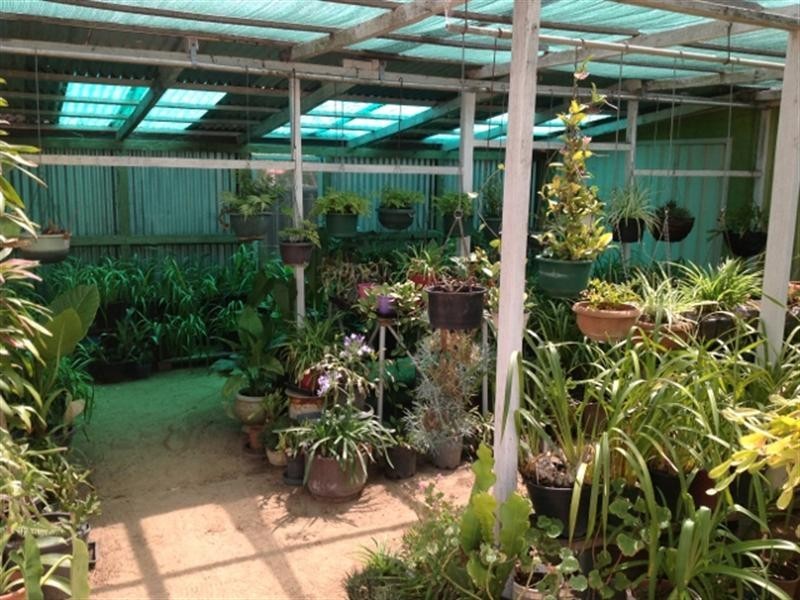 102 Adam Street, Katanning WA 6317