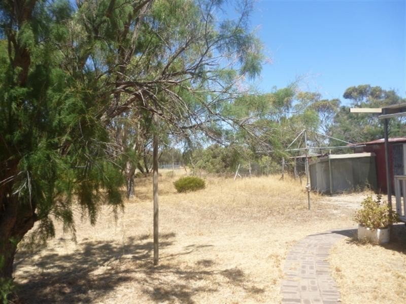 63 Bokarup Street, Katanning WA 6317