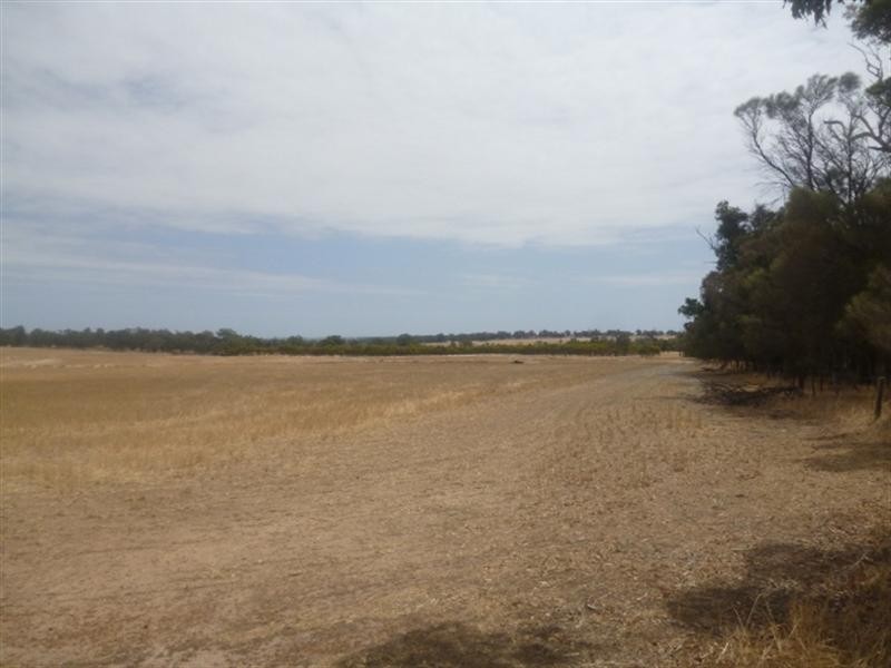 L2194 Washington Road, Katanning WA 6317