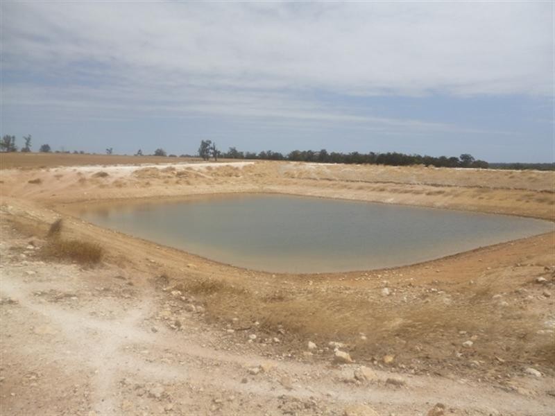 L2194 Washington Road, Katanning WA 6317