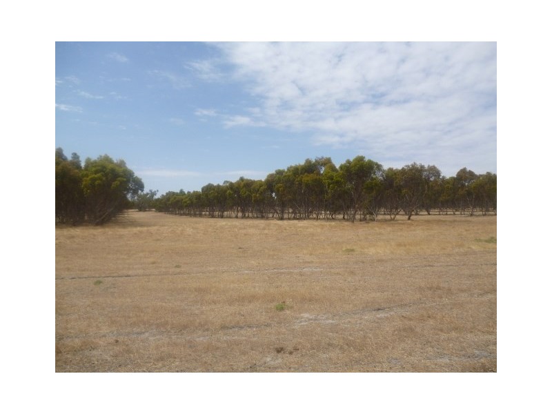 L2146 Washington Road, Katanning WA 6317