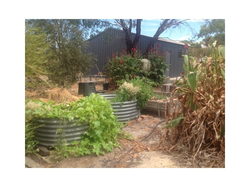 56 Katanning-Dumbleyung Road, Katanning WA 6317