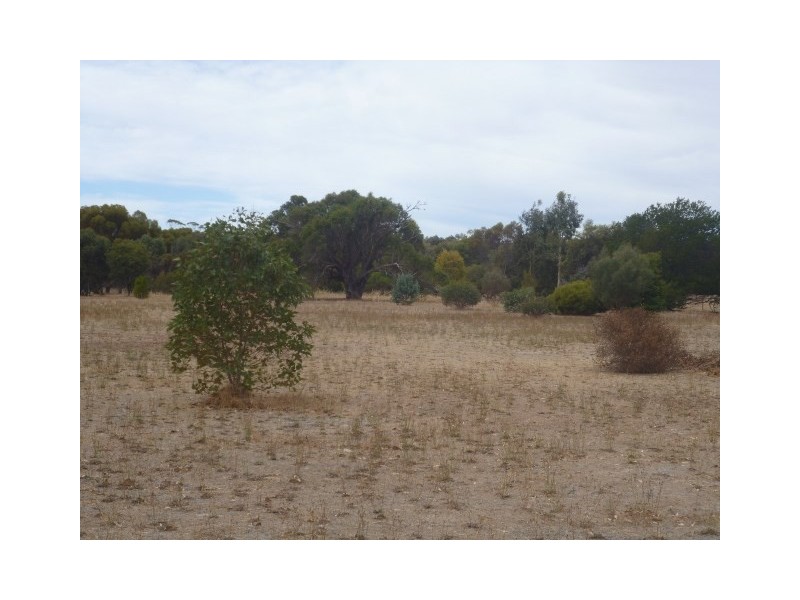 56 Katanning-Dumbleyung Road, Katanning WA 6317