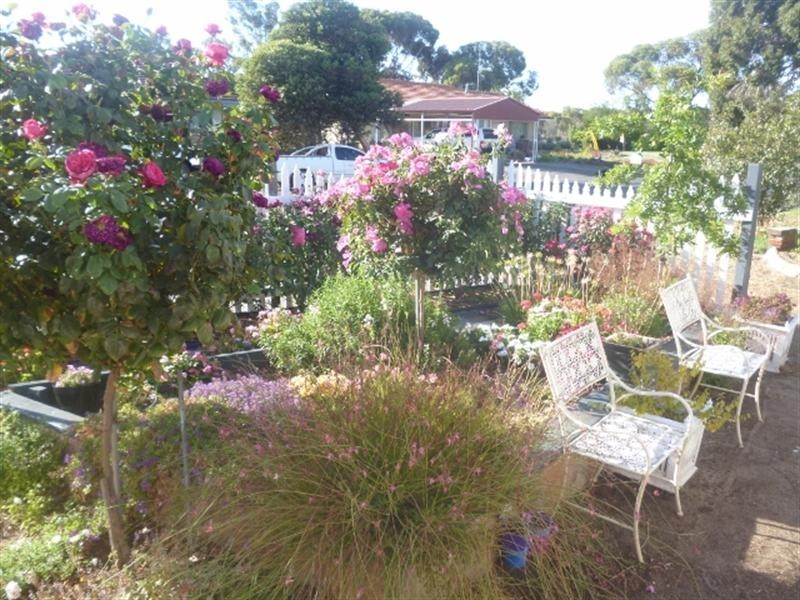 8 Forrest Street, Katanning WA 6317