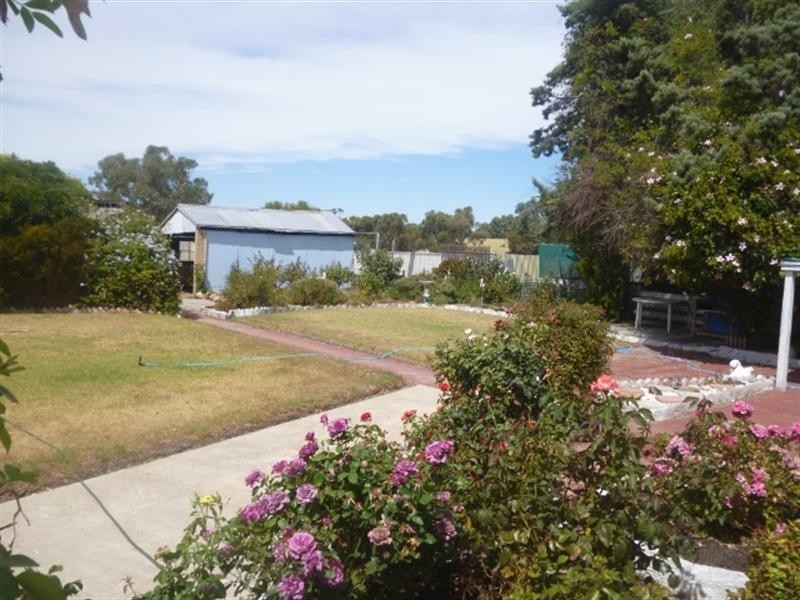 31 Amber Street, Katanning WA 6317