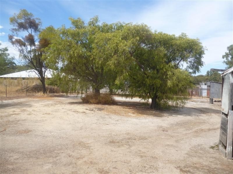 31 Amber Street, Katanning WA 6317