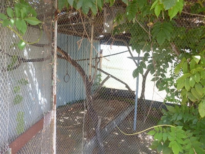 31 Amber Street, Katanning WA 6317