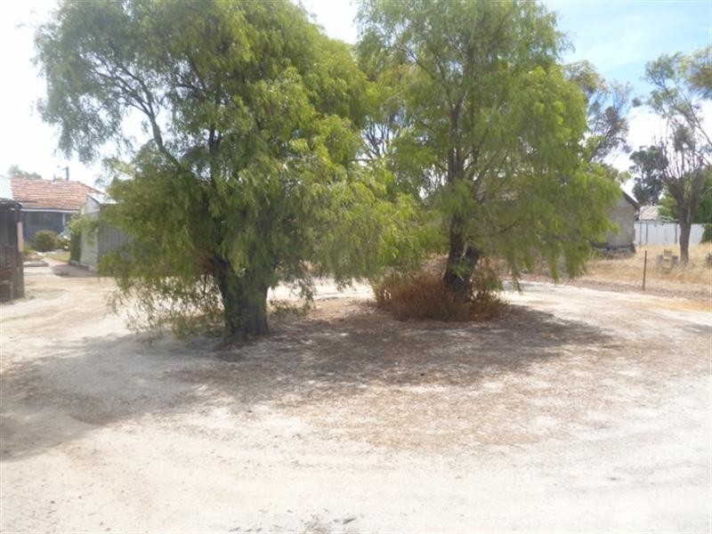 31 Amber Street, Katanning WA 6317