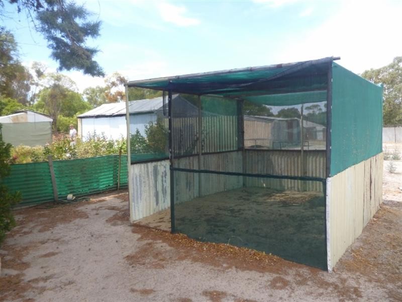 31 Amber Street, Katanning WA 6317