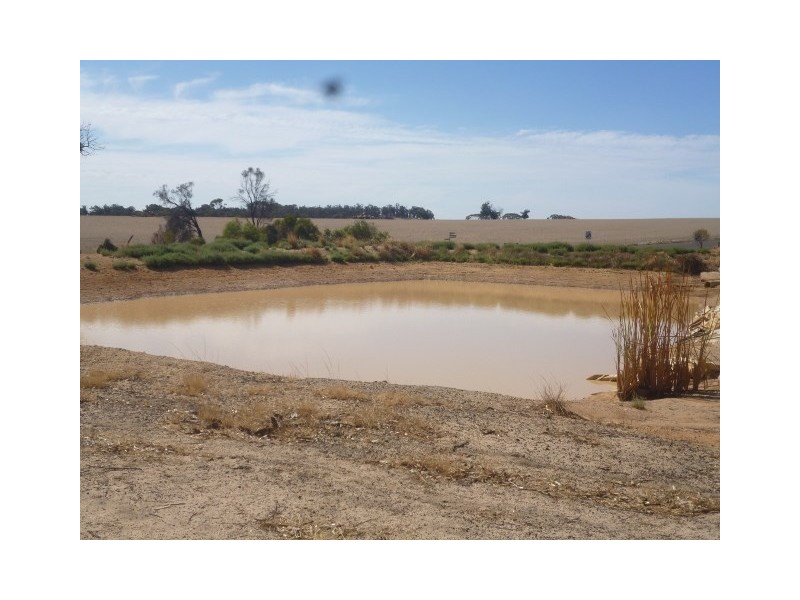 L11 Cartmeticup Road, Woodanilling WA 6316