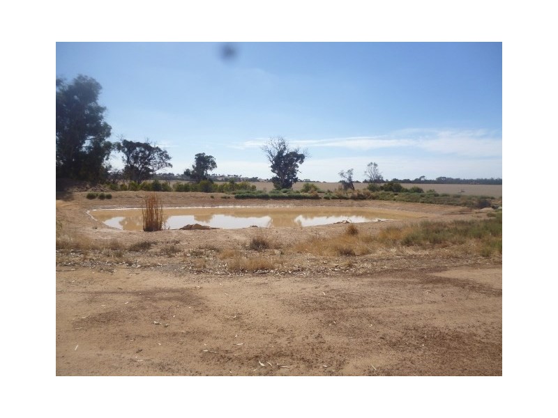 L11 Cartmeticup Road, Woodanilling WA 6316