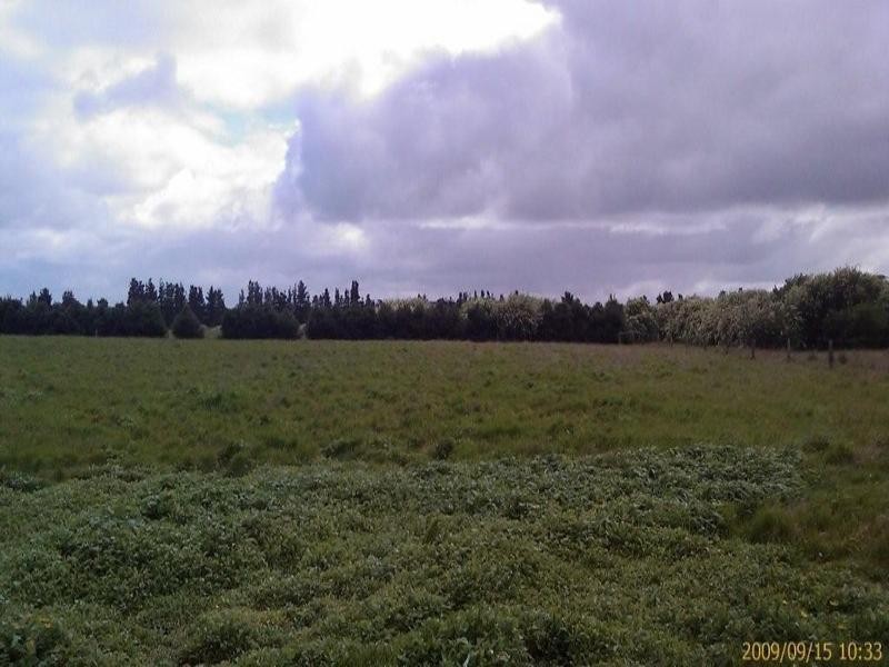 Lot 458 Burt Road, Woodanilling WA 6316