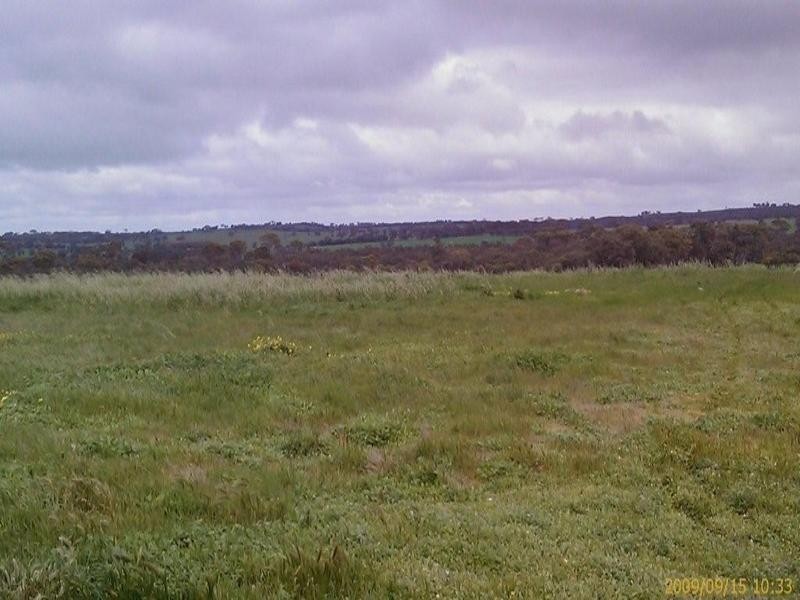 Lot 458 Burt Road, Woodanilling WA 6316