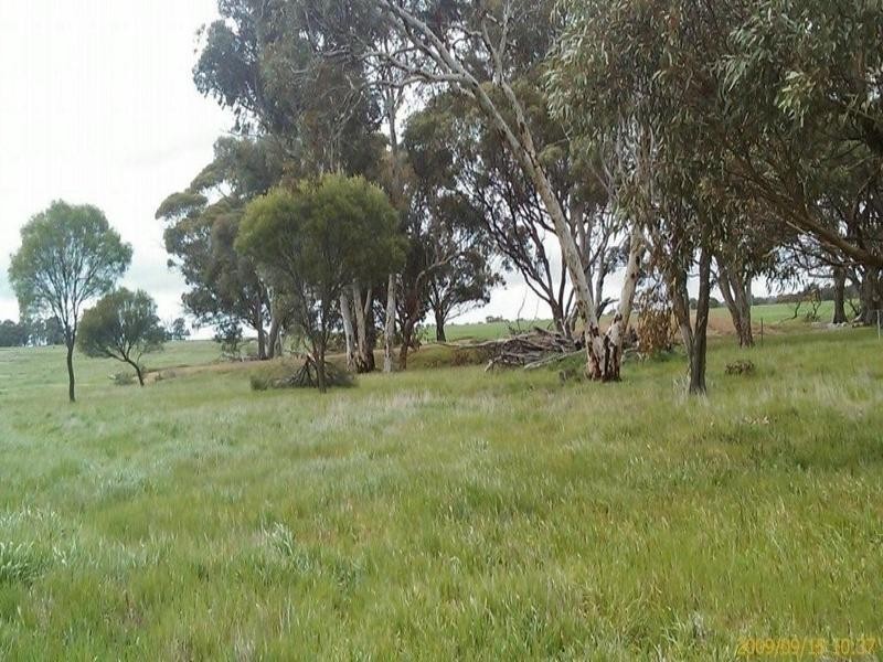 Lot 458 Burt Road, Woodanilling WA 6316