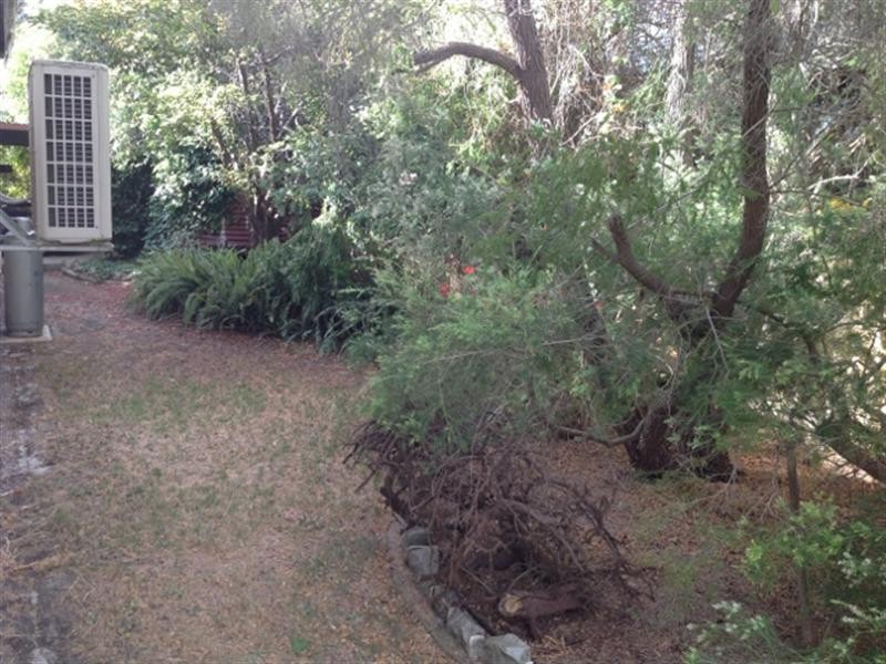 Lot 8 Annie Street, Katanning WA 6317