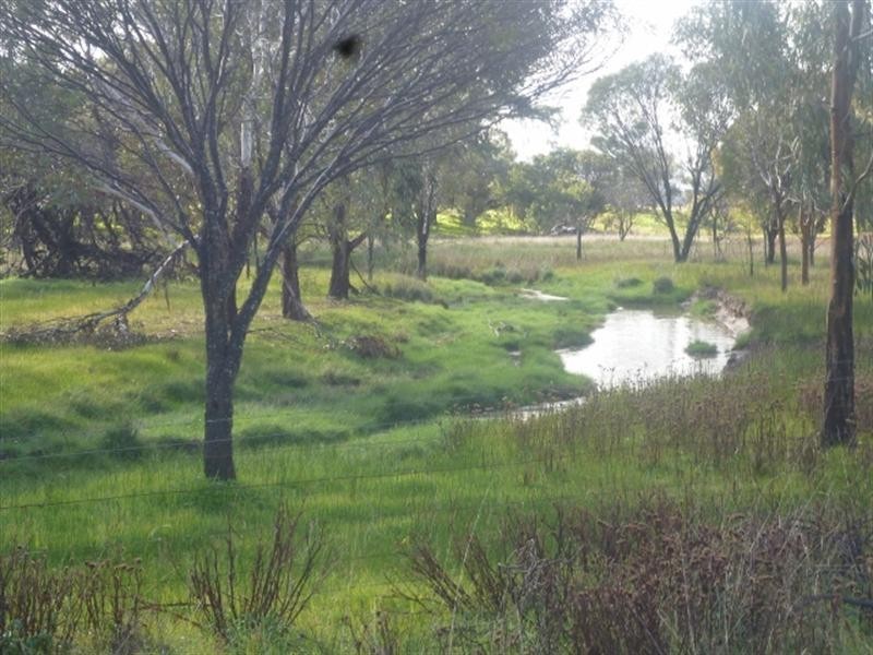 231 Gibney Road, Katanning WA 6317