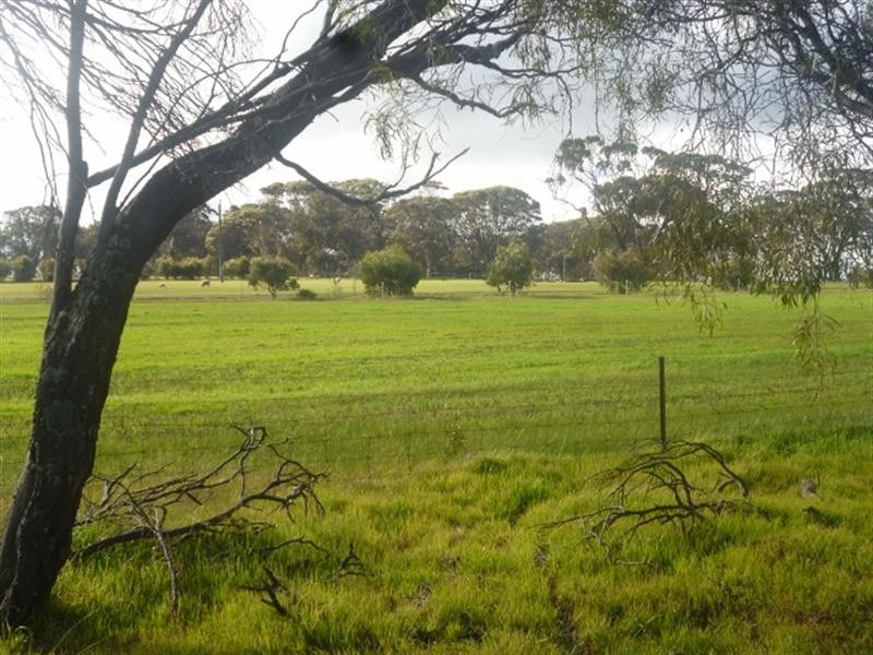 231 Gibney Road, Katanning WA 6317