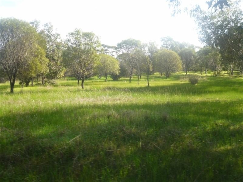 231 Gibney Road, Katanning WA 6317