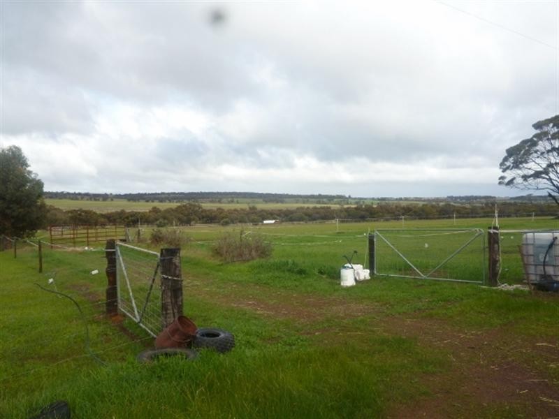 231 Gibney Road, Katanning WA 6317