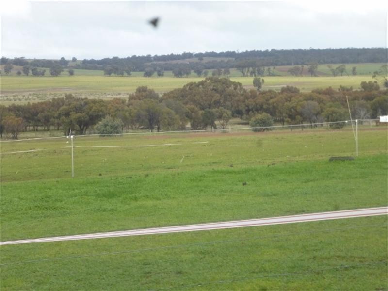 231 Gibney Road, Katanning WA 6317