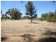 31 Moojebing Road, Katanning WA 6317
