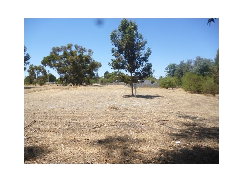31 Moojebing Road, Katanning WA 6317