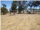31 Moojebing Road, Katanning WA 6317