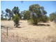 31 Moojebing Road, Katanning WA 6317