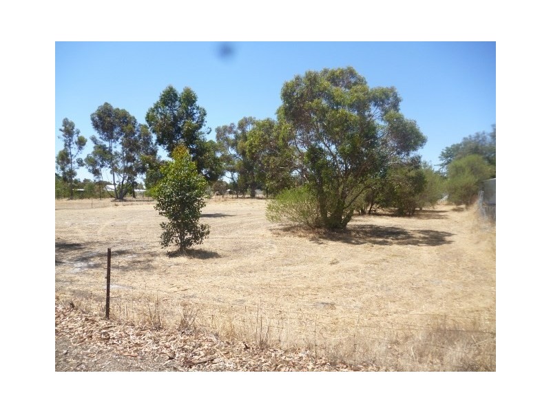31 Moojebing Road, Katanning WA 6317