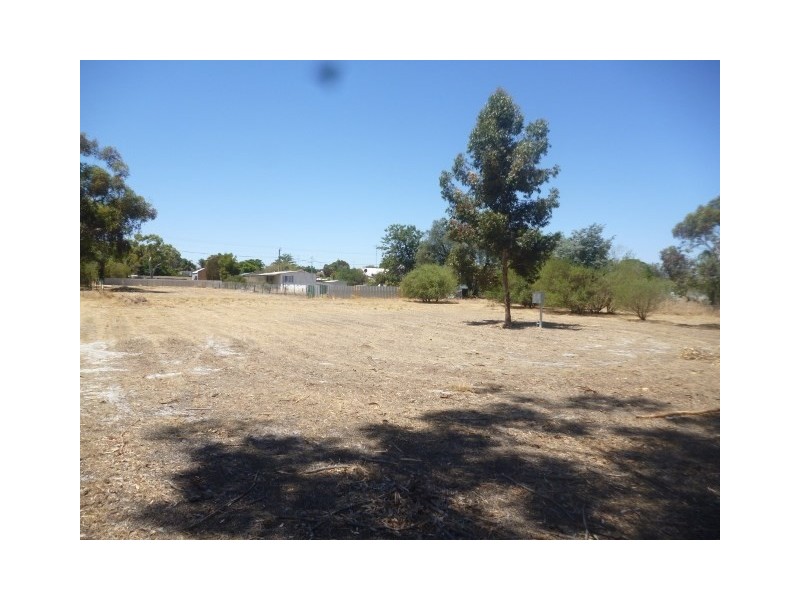 31 Moojebing Road, Katanning WA 6317