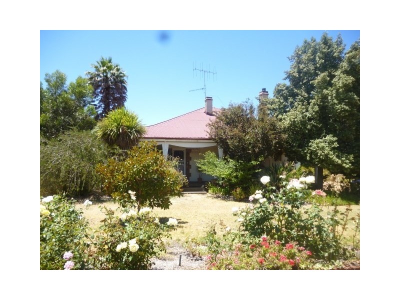 33 Adam Street, Katanning WA 6317