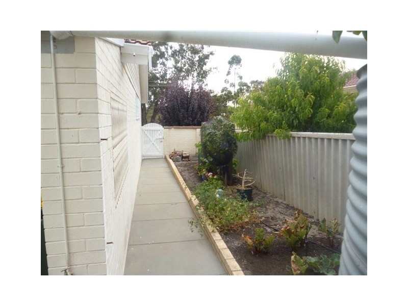 1 Collingwood Street, Katanning WA 6317