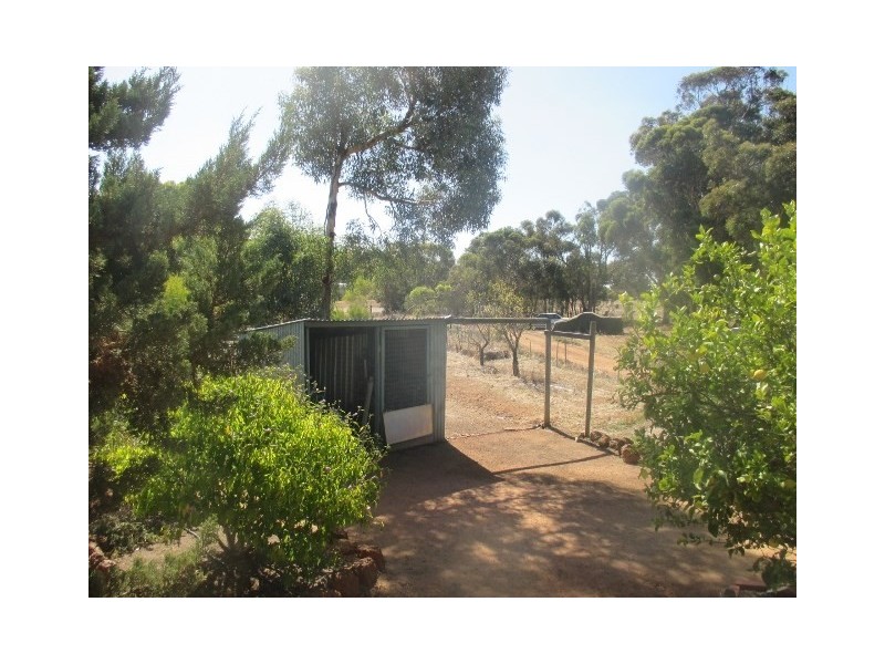 31 Chillicup Road, Broomehill WA 6318