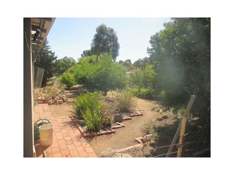 31 Chillicup Road, Broomehill WA 6318